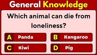 Ultimate General Knowledge Quiz | 40 Mixed GK Questions | Test Your Brain Power