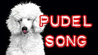 Pudelsong (Der sch&ouml;nste Hund im Rudel) + English Translation