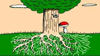 HOW LITTLE IT MATTERS - HOW LITTLE WE KNOW #treemushroom #truelove 🌳🍄