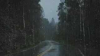 Sleep Instantly 🌧️ Soft Rain on a Peaceful Scenic Road at Night