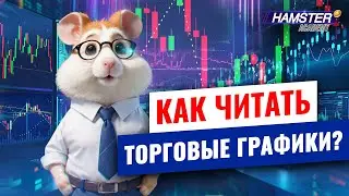 Инвестирование для начинающих: как читать торговые графики ⚡️ Hamster Academy