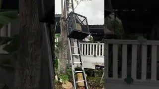 Smart Ladder Lift