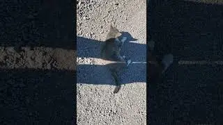 Пожалуйста, ещё больше грязи!