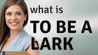 Understanding 