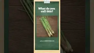 Herbs Vocabulary #english #vocabulary #herbs #learnenglish #learn