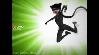 Леди кошка