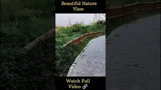 Baansera Park Delhi 🏞️ | Best Place to Visit in Delhi #shorts
