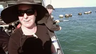 Coromandel Fishing Charters