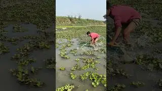 Amazing village nat gal flashing #funnyanimal #fishpetfun #fish #fishing
