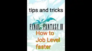 Final Fantasy III - job level fast level