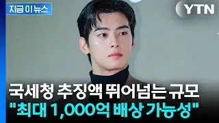 차은우, 세금 아끼려다가...업계서 나온 '천문학적 배상' 폭탄 전망 [지금이뉴스] / YTN