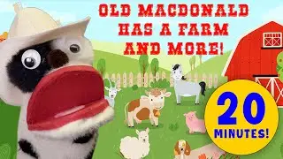 🎶 Old MacDonald Country & Western Style & Nursery Rhyme Collection! 🐄🤠 | Socks That Rock