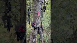 Saddle hunting setup! #hunting #deerhunting #westvirginia #archery #outdoors