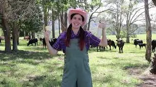 Животные на ферме тётушки - Музыкальный клип