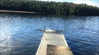 aussie dock jumping 7-9-14
