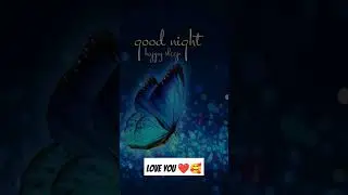 Good Night Status video Download/#shorts #viral #trending #love #goodnight #night #youtubeshorts