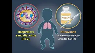 Nirsevimab for RSV Prevention in Late Preterm and Term Infants | NEJM
