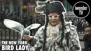 Meet The New York Bird Lady Mother Pigeon