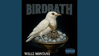 Bird Bath