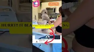 Best Dog Hair Grooming Vacuum That Will Blow Your Mind! 🐶✨ Must-See Pet Hack!