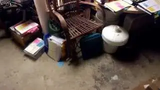 Gray Cat dematerializes for a while, then reappears in the basement (POV through Google Glass)
