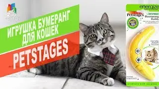 ИГРУШКА ДЛЯ КОШЕК ЖЕЛТЫЙ БУМЕРАНГ PETSTAGES | Cat's Toy Review