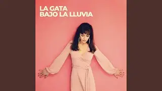 La Gata Bajo la Lluvia (Rocío Dúrcal Cover)