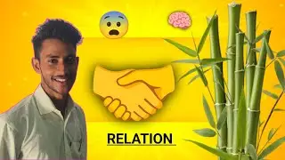 BAMBOO and HUMAN RELATIONS l PERSONALITY DEVELOPMENT, COMMUNICATION SKILLS, REAL LIFE MOTIVATION🎯