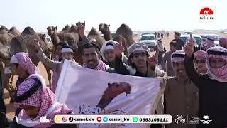 مسيرة شيعلان نجد للمالك دخيل الله بن ناصر الحويدر السهلي