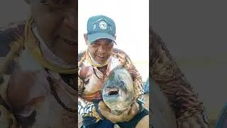 aqui &eacute; o vardo mais um verdinho do pesqueiro Stella s&oacute; pega peixe quem pesca