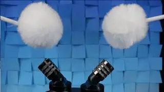 AMAZING Mic Brushing and Scratching ASMR [no talking]