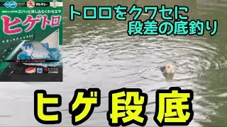 【釣り】トロロをクワセに段差の底釣り【へらぶな釣り】
