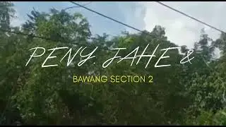 Peningkatan Kehandalan Part 6 #listrik #pln #haleyorapower #viralvideo