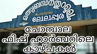 Chombala fish harbour | Fish harbour in kerala | vadakara fish harbour