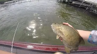 Fishing With a Professional Bass Angler
