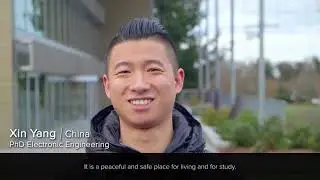 International study at the University of Surrey