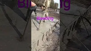 Concrete bleeding #shorts