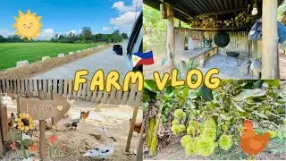 FARM VLOG: Mini Farm Update #philippines #youtube #farm #farmvlog #minifarm #farmtour #farming