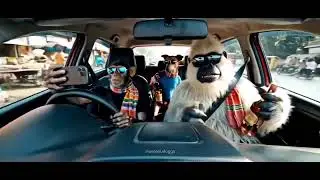 Dogesh bhai daaru leke aaya#reels #instagram #monkeyvlog ttvlogs t#trends#trending #vlogging t#viral
