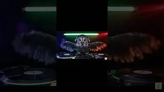 Surreal Owl DJ Club