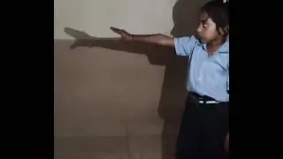 #shadowactivity#jrkg #srkg #funwithkids #activityforkids #funwithlearning 