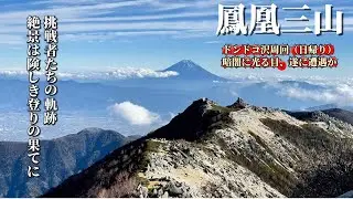 【鳳凰三山】暗闇下山に光る２つの目、遂に遭遇か！