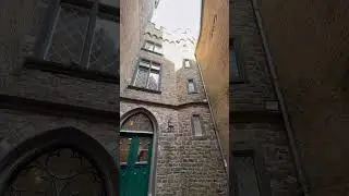 📍Burg Sooneck/Sooneck Castle🏰 Niederheimbach, Deutschland #deutschland #germany #castle #travel