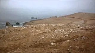 Isla Chincha Sur