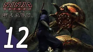Ninja Gaiden Sigma Black (MOD) & Shinobi Shozoku Outfit - Chapter 12/1080p 60fps Max Settings/Steam