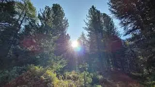 Wanderung im Val di Campo