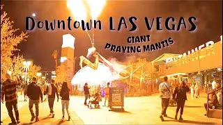 Downtown LAS VEGAS Container Park FREMONT Street Praying Mantis #vegas #shorts