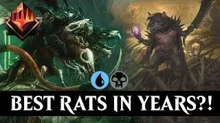 This Is The Most BUSTED Rat Deck We Had In YEARS.. I Loved It