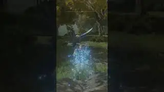 Where To Farm Gold Firefly's - Elden Ring Guide
