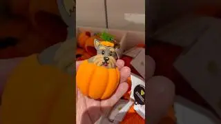 Back To School Bath & Body Works Hand Sanitizers | Fall 2025